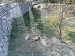 -泉州海丝野生动物世界