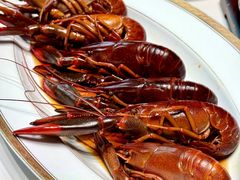-新光酒家·河豚·海鲜·蟹料理(浦东店)