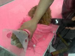 -宠福鑫康馨动物医院·骨科·眼科
