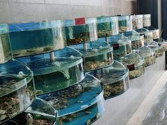 水产区-蓝珊甄选海鲜自助·火锅大排档(近阿那亚店)