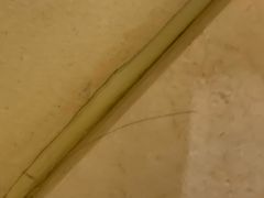 -北京康莱德酒店
