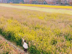 -中国天府农业博览园