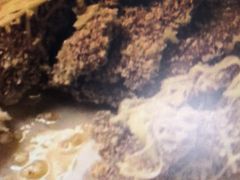 -祥记·苏帮菜·松鼠桂鱼(湖畔天城店)