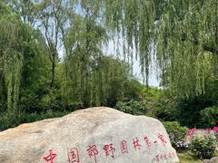 -习家池