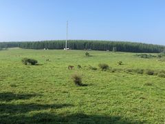 -塞罕坝国家级自然保护区