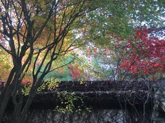 -上海方塔园