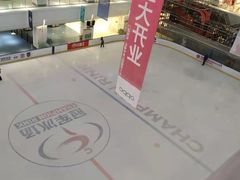 -炫采冰场(红博中央公园商场店)