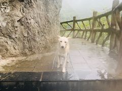 -郧西五龙河风景区