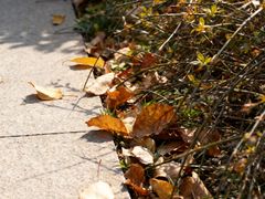 -西安市长乐公园