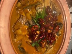 -柿合缘新京菜(国金中心商场店)