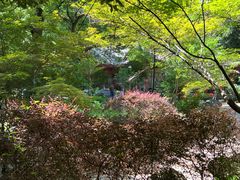 -杭州西湖风景名胜区-三生石