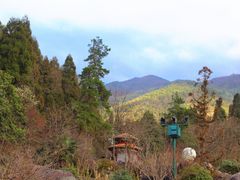 -大围山国家森林公园