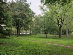 -泰丰公园