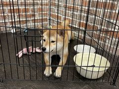 -呼吸沉浸式剧场(甘露园店)