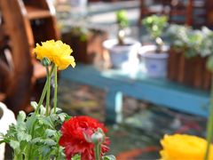 -悦真雅院·四合院·清真私房菜(雍和宫店)