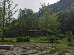 -素山寺森林公园