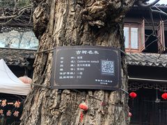 -兴福老面馆(寺路街店)