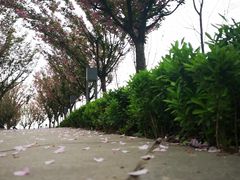 -奈雪的茶(国金中心店)
