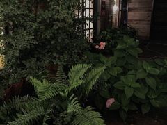 -秘密小花园(第三中学店)