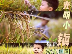 -光明小镇欢乐田园