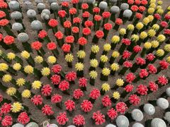 -南山植物园