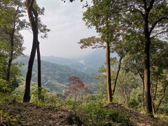 -黄埔油麻山森林公园