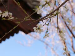 -三里河公园