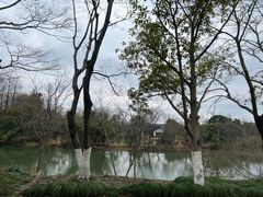 -西溪国家湿地公园