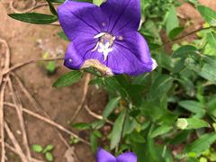 -金堂县云顶石城风景区