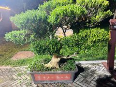 -青州古城