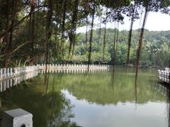 -西樵山风景名胜区-天湖公园