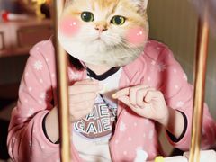 -Lilliput粒粒堡亲子餐厅(置汇旭辉店)