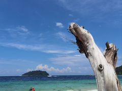 -东姑阿都拉曼海洋公园