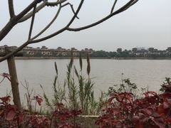 -美的鹭湖森林度假区