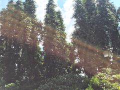 -新加坡总统府
