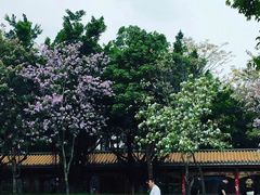 -聚福山莊·寻味顺德(北滘店)