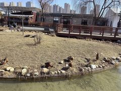 -西安汉城湖景区