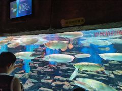 -多彩贵州城极地海洋世界