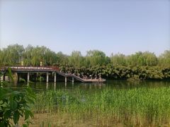 -西安汉城湖景区