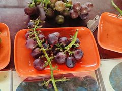 -马陆小张葡萄园农家乐