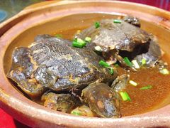 特色卤甲鱼-老家信阳菜(北京路店)