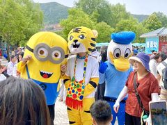 -灵山莲花公园-温泉度假区