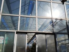 -北京鹫峰国家森林公园