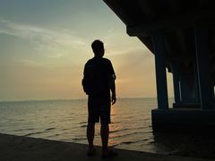 -宝安西湾红树林湿地公园