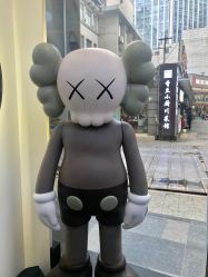 -Rise Hair上升造型