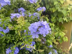 -白石龙音乐公园