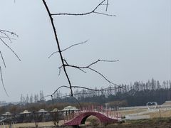 -嘉北郊野公园