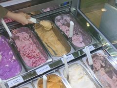 -鹤茶野所(上海首店)