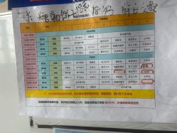 -秦皇星际小蚂蚁乐园