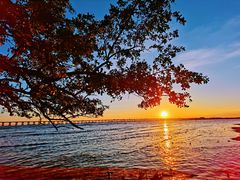 -宝安西湾红树林湿地公园